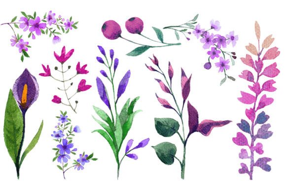 Download Watercolor Flower Elements Set - Set Collection