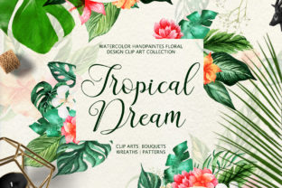 Download Tropical Dream-watercolor Set - Set Collection