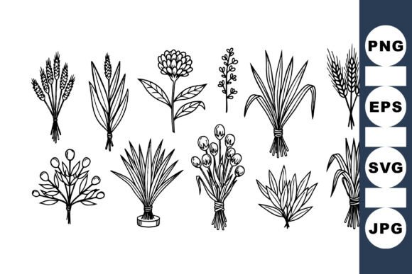 Download Hand Drawn Botanical Set - Set Collection